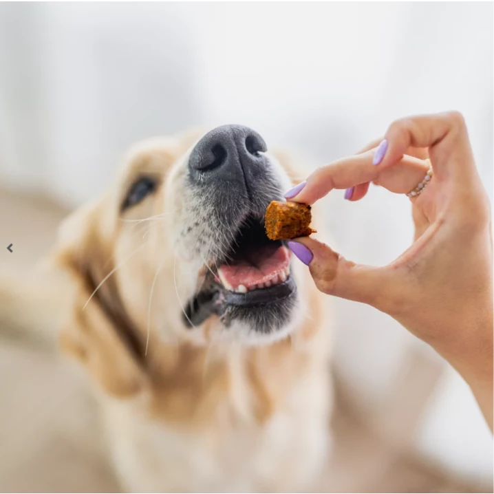 PERRO Bon Bon Indyk - smakołyki dla psa na piękną sierść, z żółtkiem jaja i olejem z łososia 80g - 2