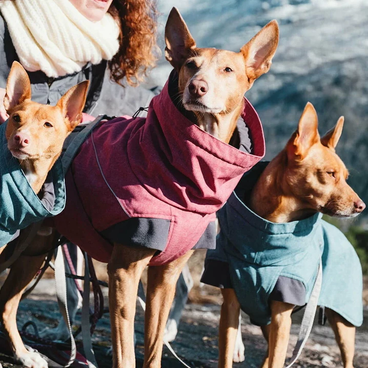 HURTTA Expedition Parka Bilberry - bardzo ciepła wodoodporna kurtka zimowa dla psa, szaro-niebieska - 3