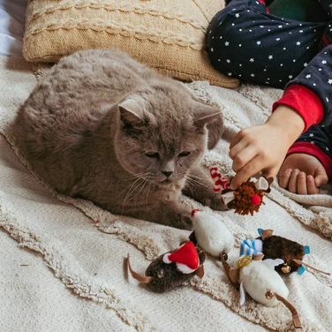 DINGO myszka Rudolf, świąteczna zabawka dla kota z kocimiętką i dzwoneczkiem - 3