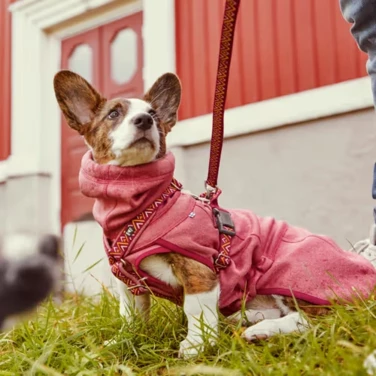 HURTTA Razzle Dazzle Midlayer Beetroot - dwustronny polar, miękka i wygodna bluza polarowa dla psa, różowa